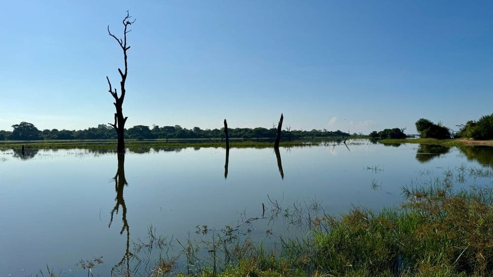 Mau Ara Reservoir: The Off-Grid Lake